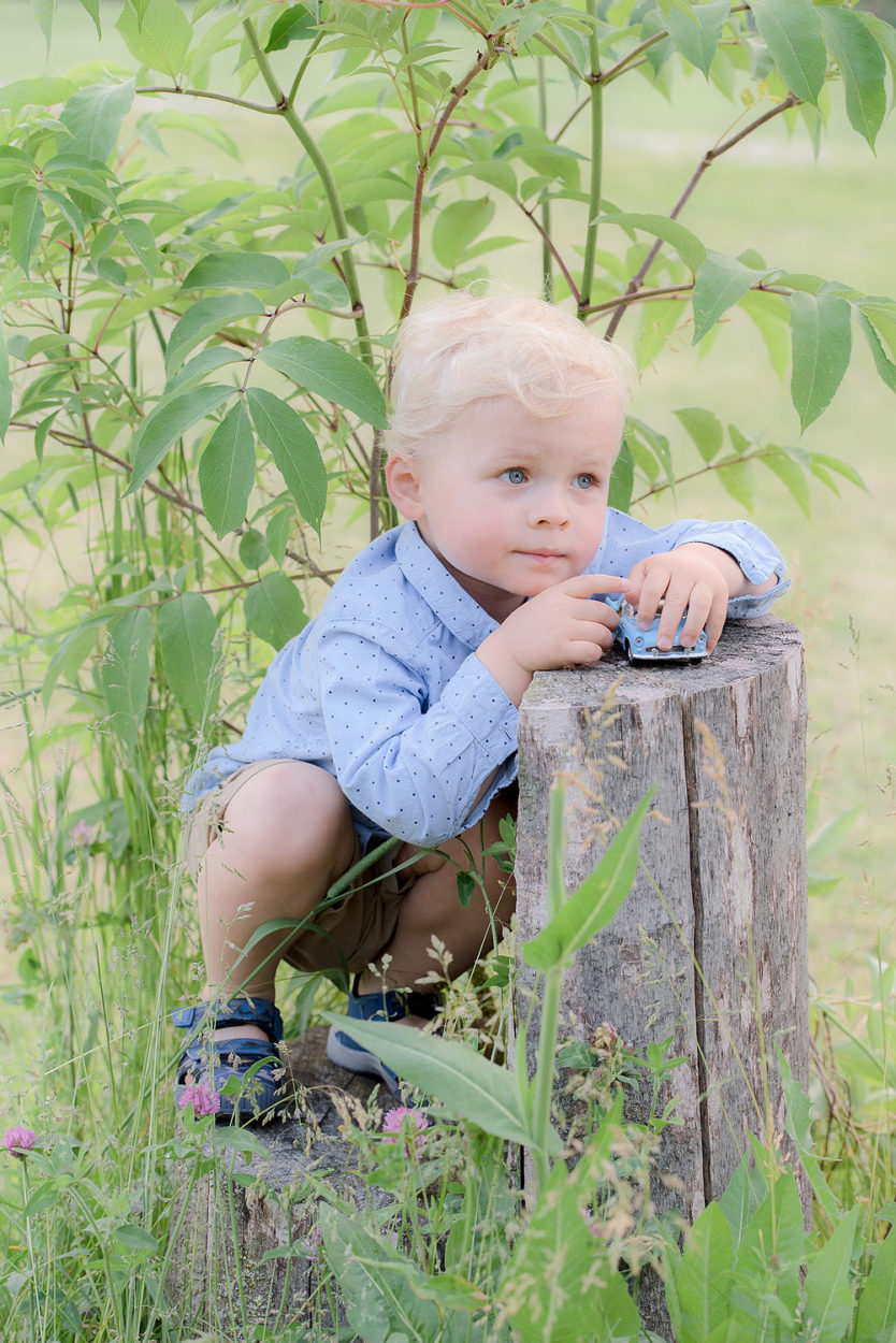 Lake County IL Family & Wedding Photographer